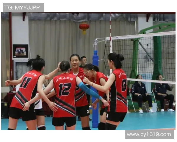 北京排球队技术争议引发热议球迷与专家各执己见探讨战术与表现