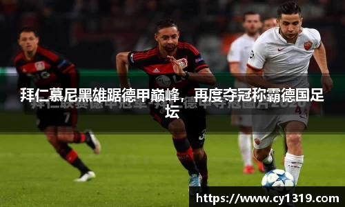 伟德bv国际体育