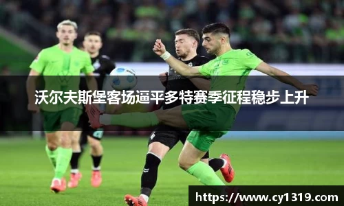 伟德bv国际体育