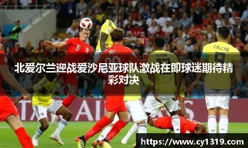 北爱尔兰迎战爱沙尼亚球队激战在即球迷期待精彩对决