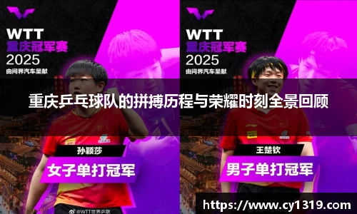 重庆乒乓球队的拼搏历程与荣耀时刻全景回顾